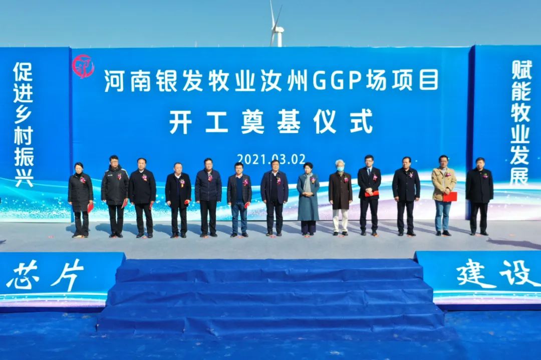 河南银发牧业有没有二产母猪,河南银发牧业养猪场