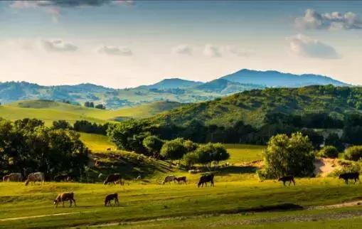 写高山草原的散文随笔,坝上草原散文随笔