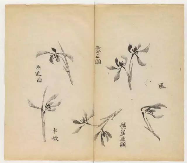 毛笔怎么画兰草,怎么画兰花和书法