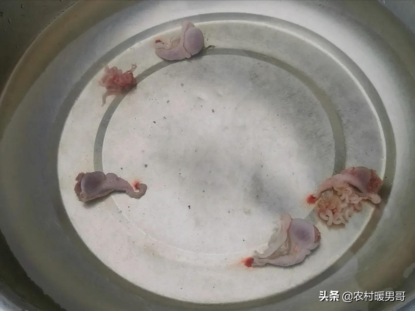 带大家一起走进乡村生活,农村生活带你体验