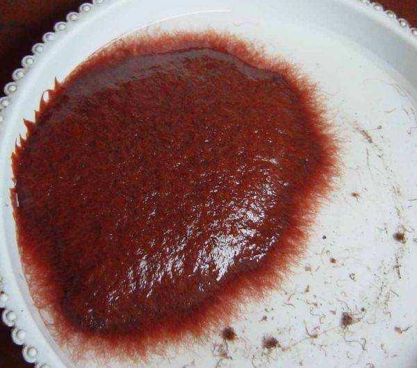 怎么给观赏鱼投喂饲料,观赏鱼投喂活食