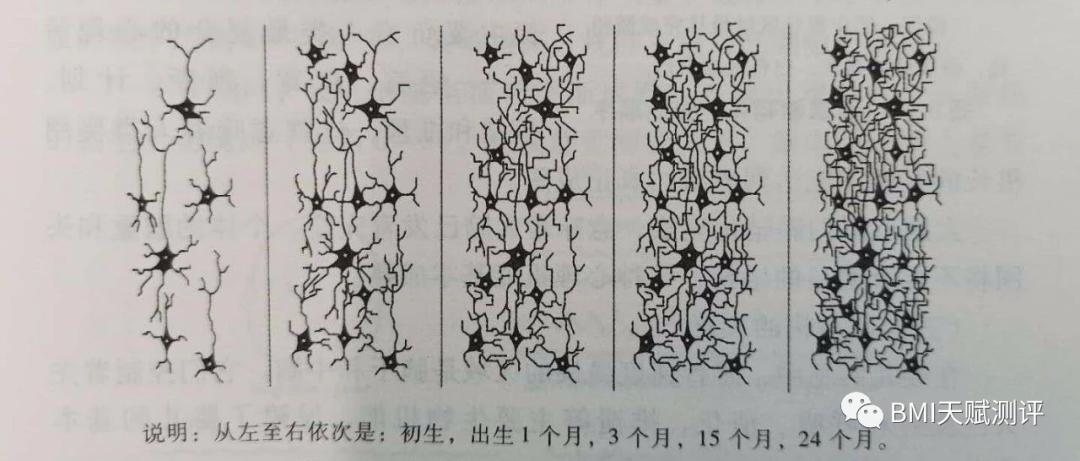 bmi儿童评判标准,bmi优秀等级的指数
