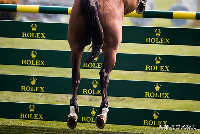 什么!听说几天后云杉草地将会上演一场冠军“厮杀”?