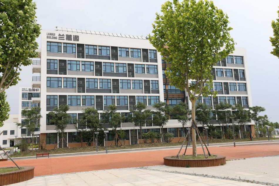 青岛幼儿师范高等专科学校管理,青岛幼儿师范高等专科学校官网