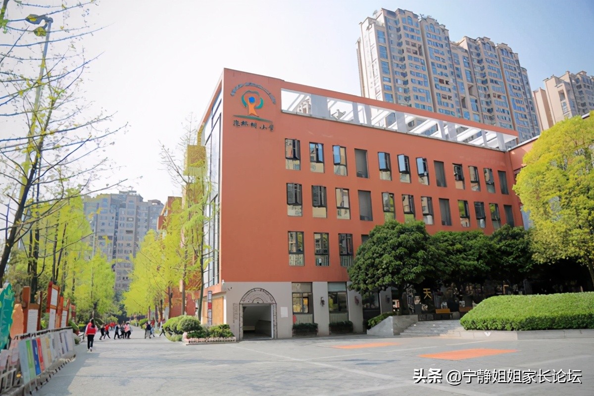 泡桐树小学分校排名,成都泡桐树小学境界分校