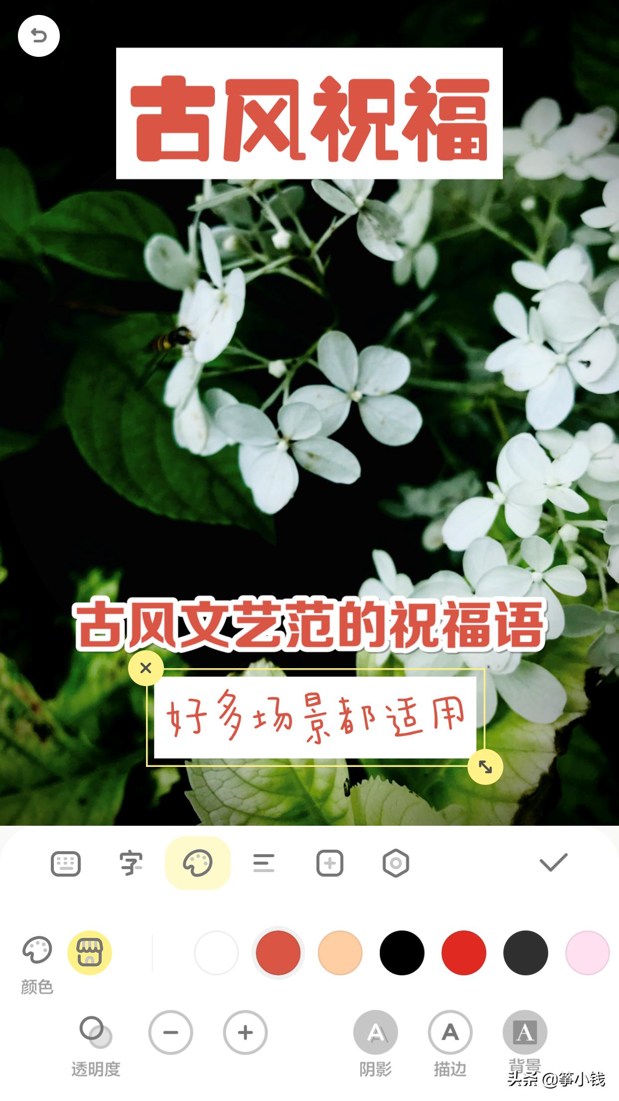 如何做一个能涨粉的读书博主,新手小白如何做读书博主