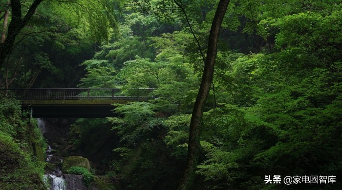 告别丁威时代的A.O.史密斯,如今在中国市场有喜有忧