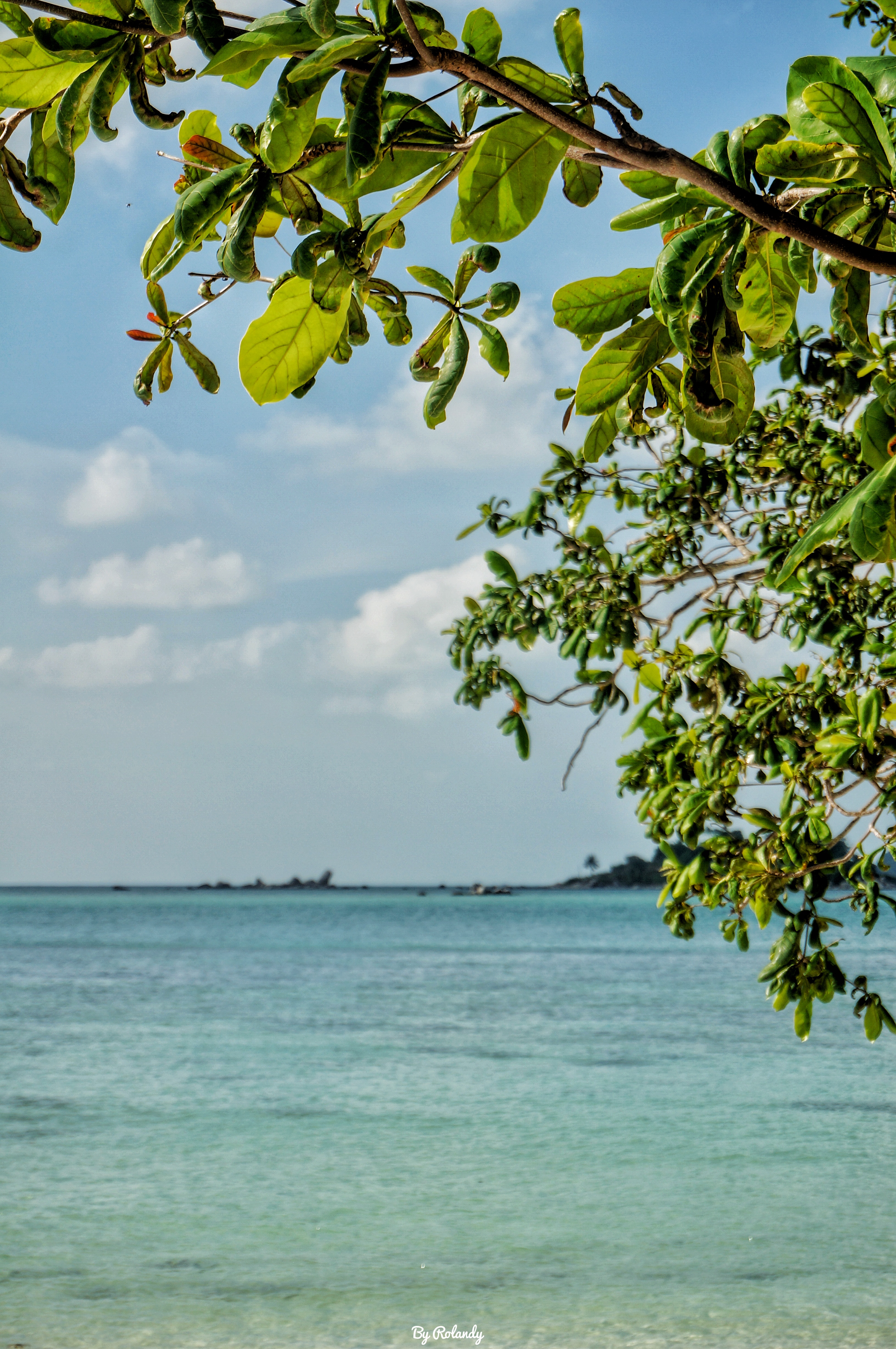 民丹岛最佳旅游季节,民丹岛旅游价格