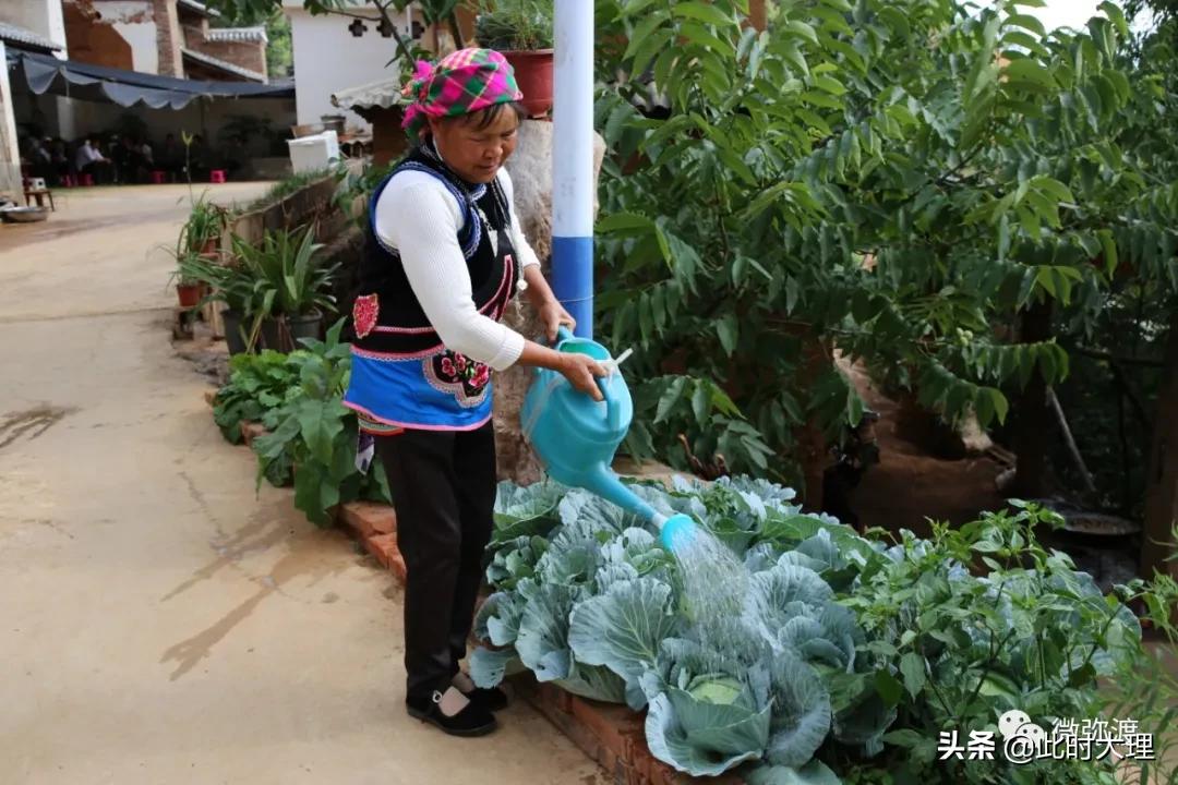 弥渡县这几个村人居环境大评比，结果怎么样？
