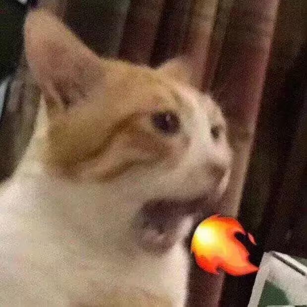 售价2000起，这些被误会多年“国际大牌”实际都是广州产伪洋货