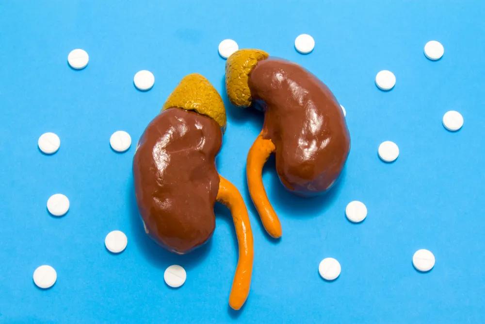 牙周炎导致尿毒症,牙周炎跟肾病有关系吗