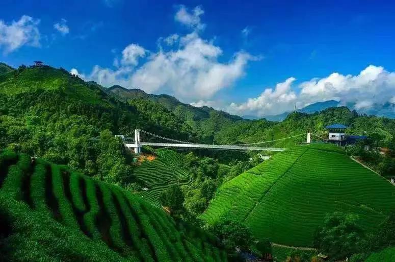 贺州新春节活动安排,贺州元宵节活动