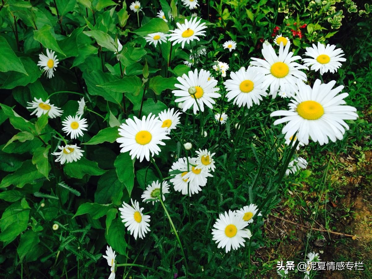 一封丈夫出轨的信,一封关于出轨的信