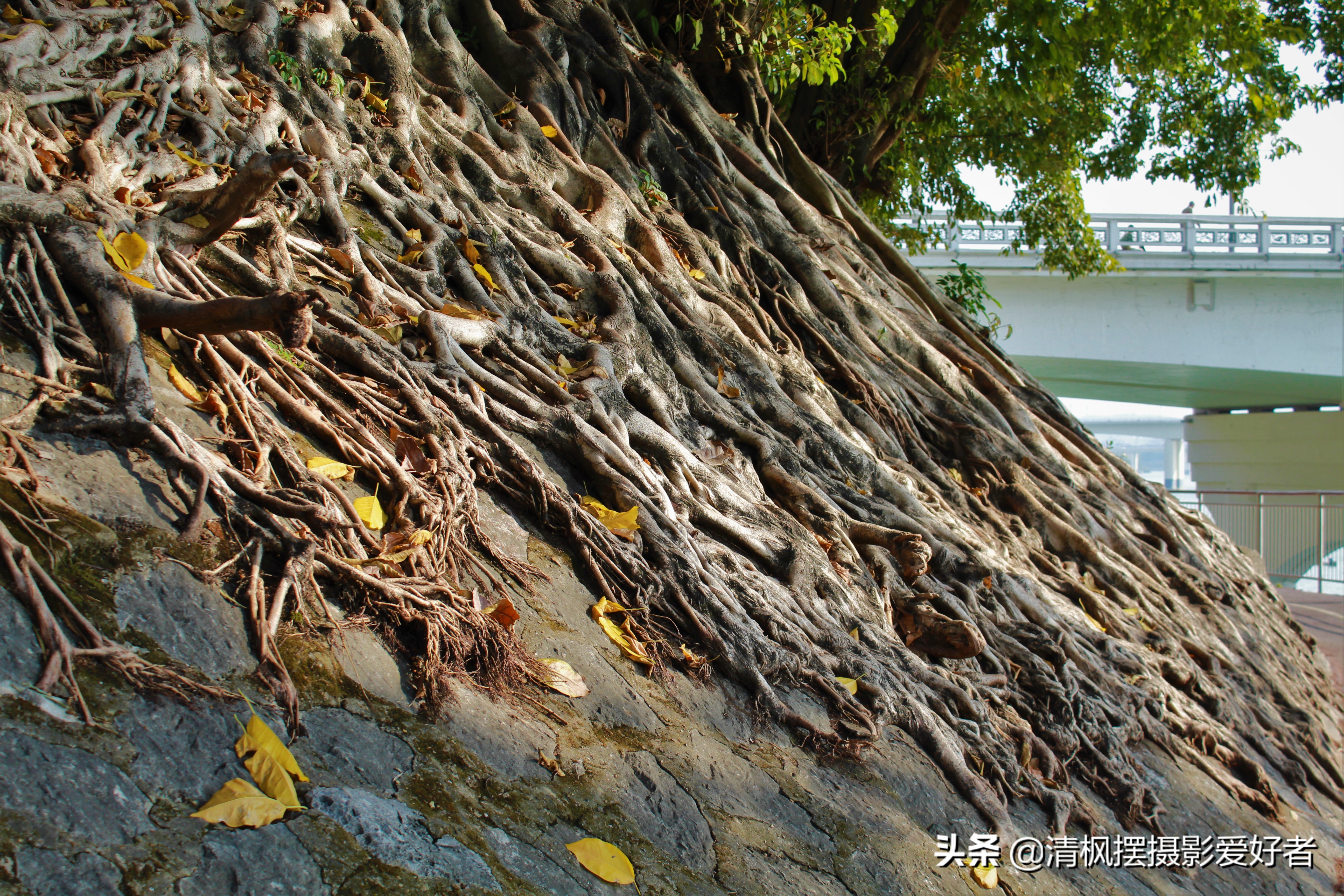 南宁最近的古城,南宁古城墙景区里面有什么