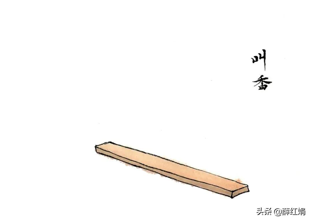 浣涢棬娉曞櫒鍔ㄦ极,浣涢棬缁崇储娉曞櫒