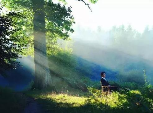 音乐诗人李健的故事,儒雅浪漫的音乐诗人李健