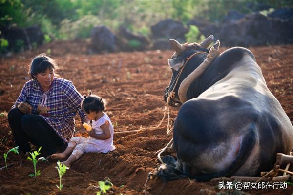 他山之石丨“拼”出新产业，小果子带来脱贫大希望，背后的故事都有啥