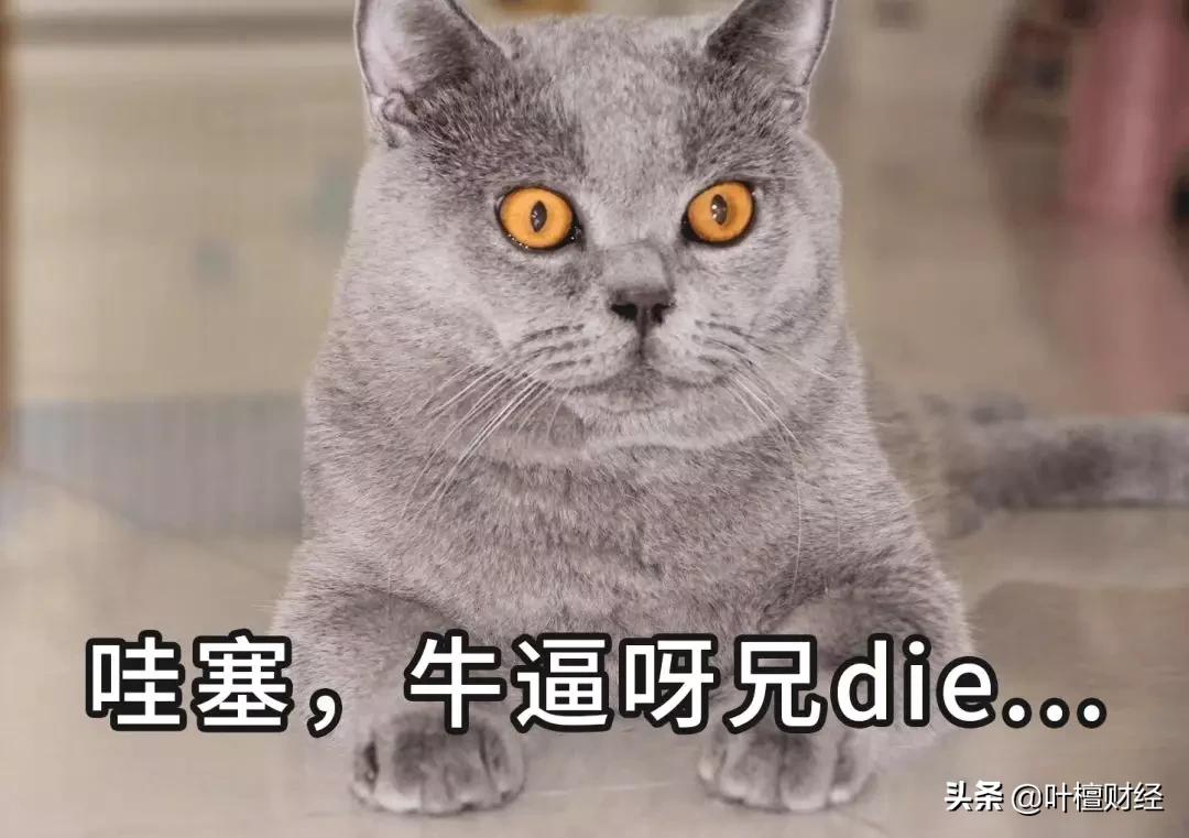 京东方为什么一直亏损,京东方为什么业绩下滑