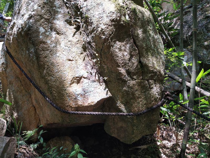杭州周边徒步最美线路 (杭州最野的徒步路线)