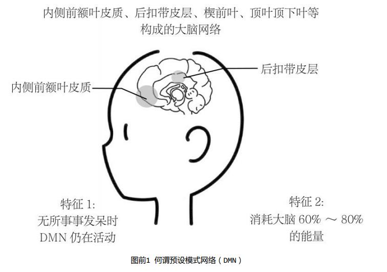 高效休息法让大脑不累,如何有效缓解大脑疲劳