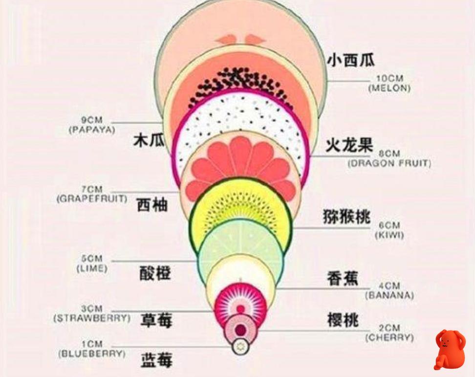 分娩开十指指的是宫颈口开吗,分娩开十指需要多少时间