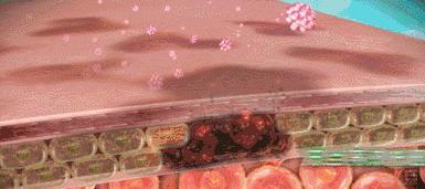 平价淡斑美白小灯泡,神仙水小灯泡精华淡斑