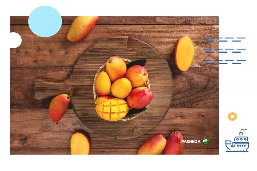 贵妃芒号称是芒果之王皮薄多汁,贵妃芒树上摘下来就能吃的芒果