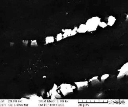 sem扫描电镜使用手册,一文看懂超声诊断