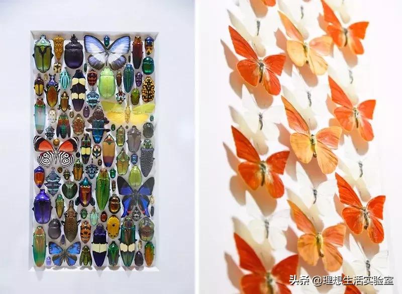 龙湖成都金楠天街,成都龙湖金楠天街哪一期最好