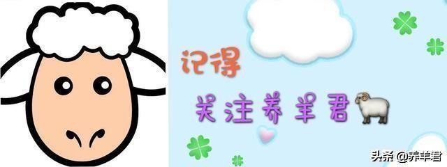 关于羊你了解多少,关于羊奶的知识