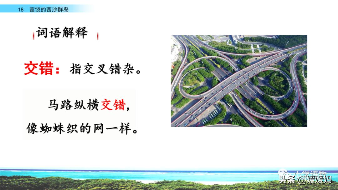 三年级第18课富饶的西沙群岛预习,3年级语文第18课富饶的西沙群岛