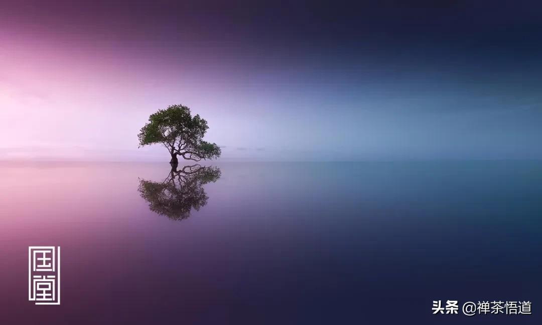 半桶水的故事全集,半桶水的故事