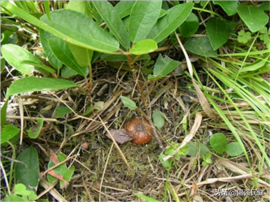 我的童年零食,我的童年回忆小零食