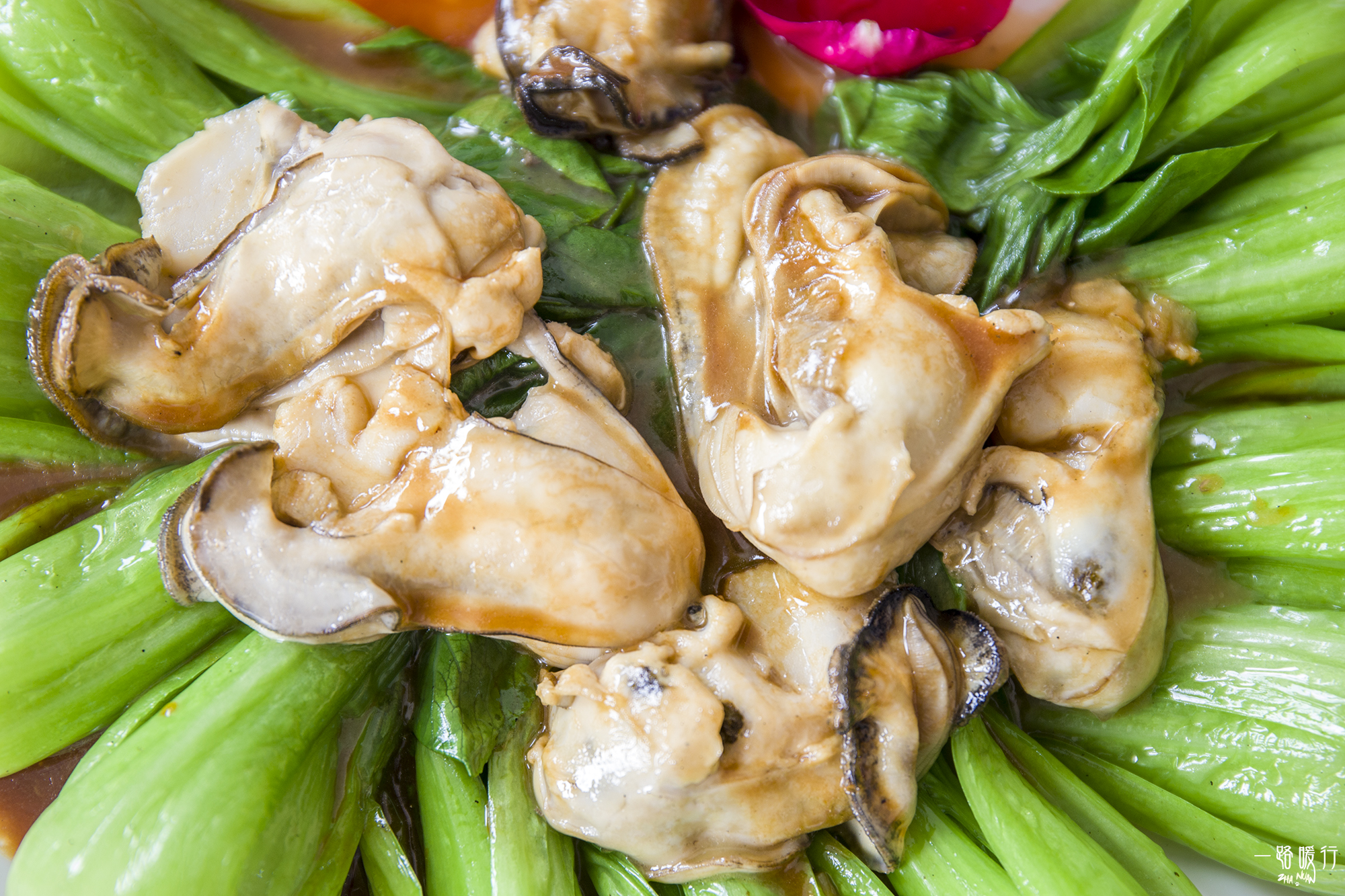 乳山海蛎子地理标志,乳山哪里的海蛎子最正宗