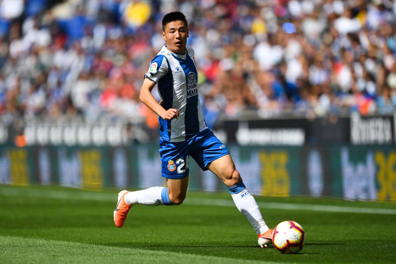 鑴辫。搴嗙杩涚悆,鑴辫。搴嗙绾㈢墝