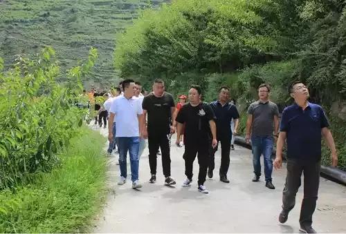 汶川脆红李子基地,阿坝州汶川甜脆晚熟李子