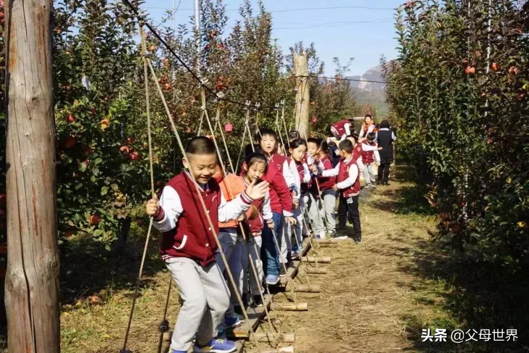 国内不太偏的亲子小众旅游 (全球最适合亲子游的十大旅游胜地)