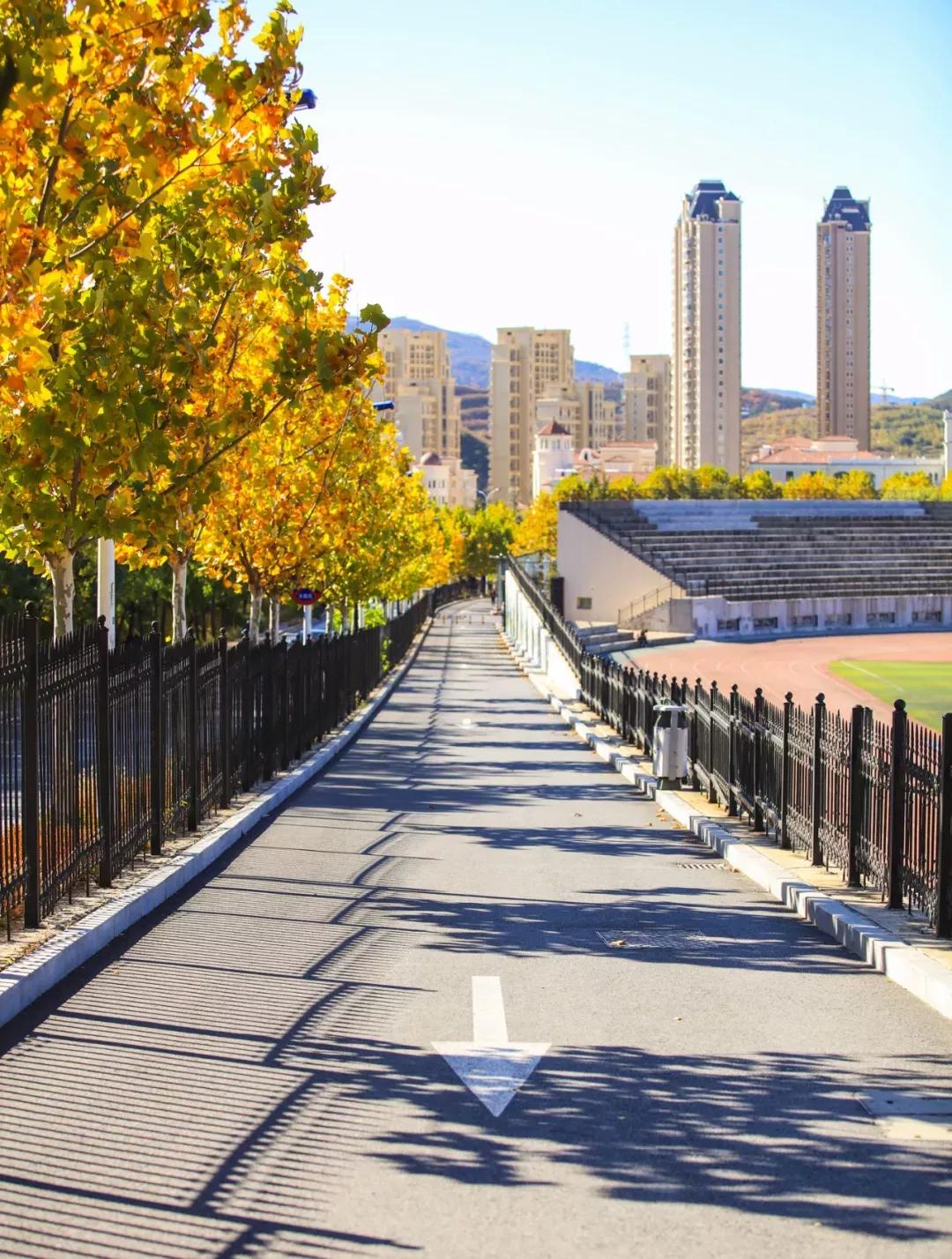 辽宁省民办大学（二）大连东软信息学院