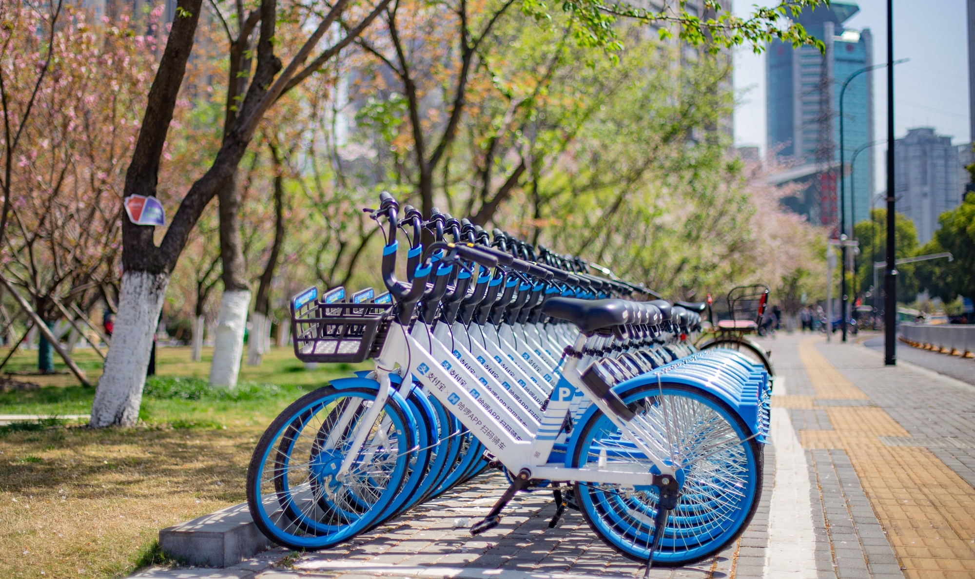 租赁业很赚钱,租赁行业收入