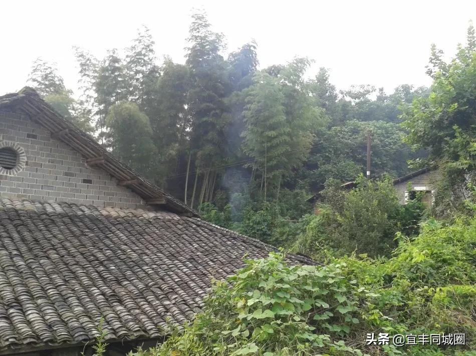 这些失传已久的童谣你还记得吗,这些即将消失的老行当你还记得吗