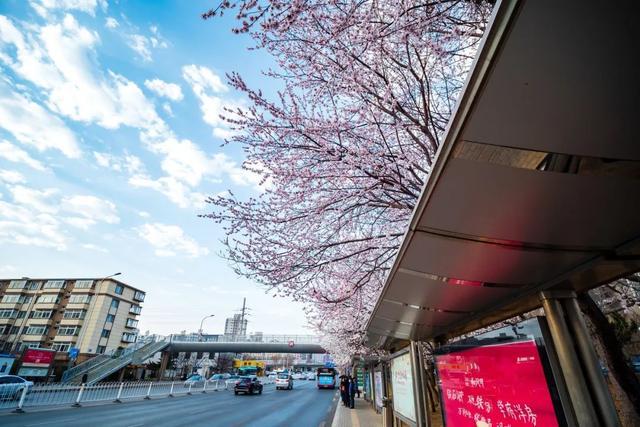 突然就想去旅游了,忽然间就想去厦门了