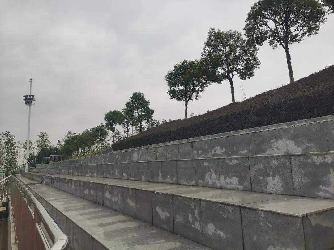 星耀五洲杯全国决赛u15组,2021星耀五洲杯都匀u9组总决赛