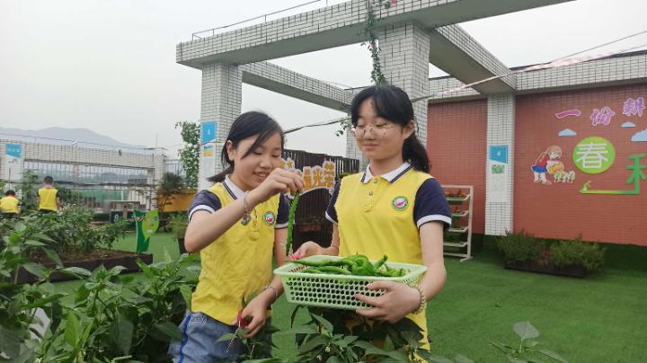 小学农耕节活动,梨树县首届农民丰收节