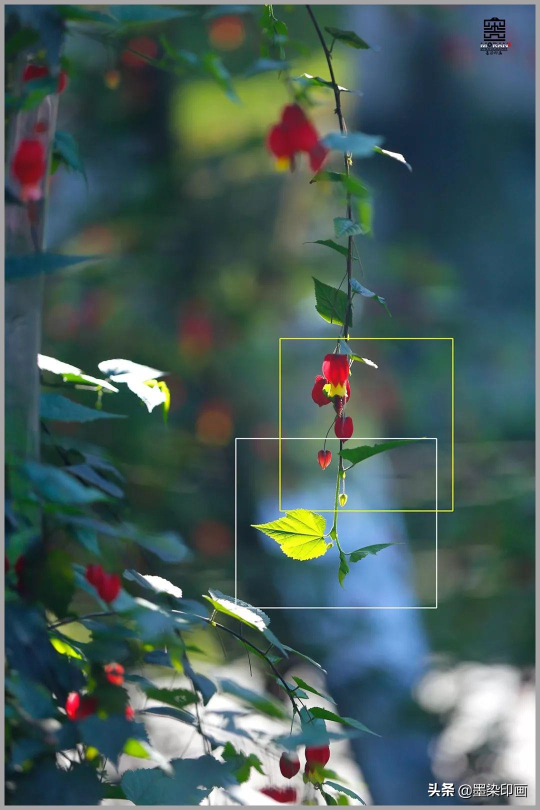 怎么拍摄人物小品,如何拍好一个小品