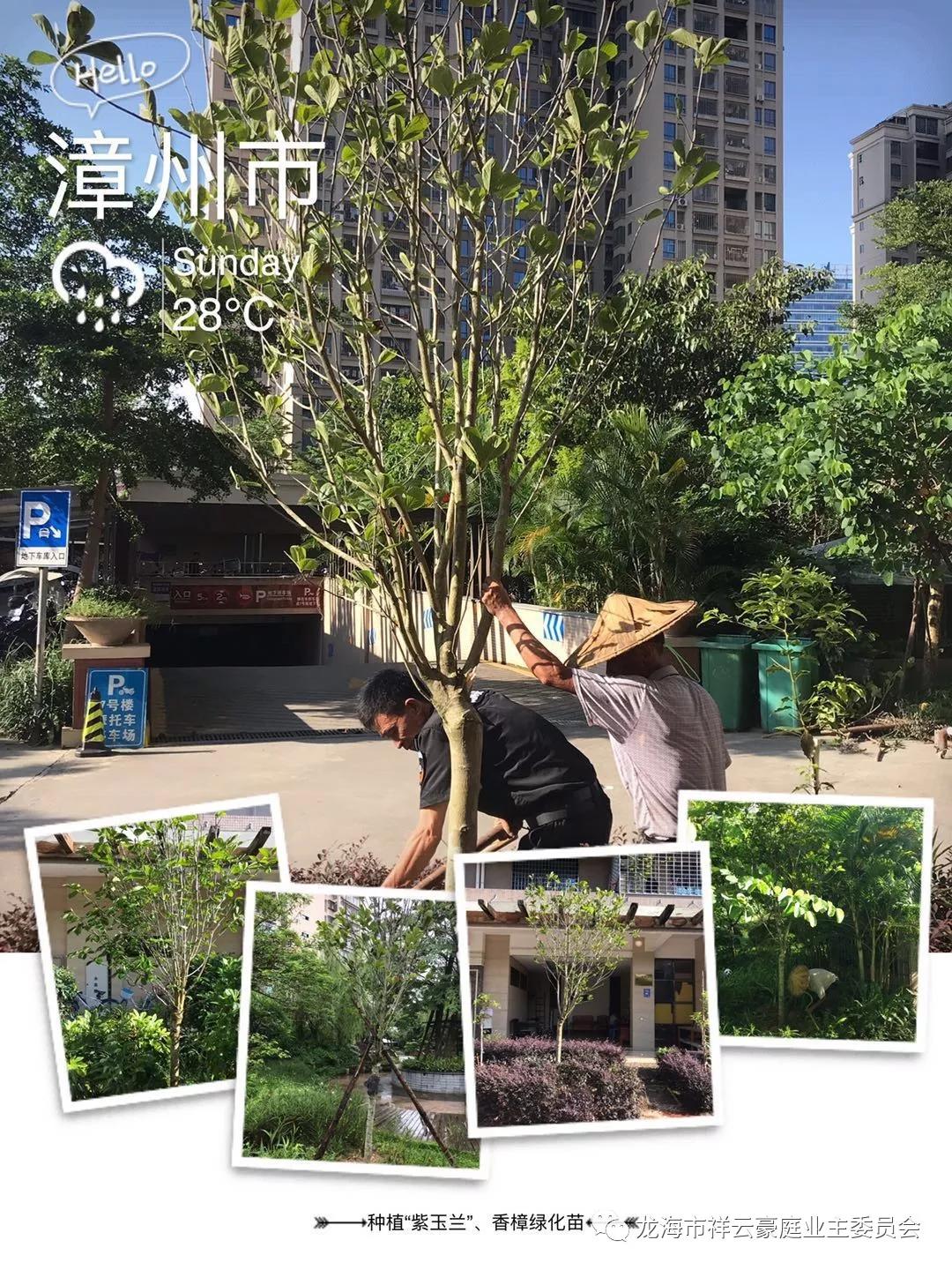 福建漳州石码祥云豪庭小区,龙海石码祥云豪庭117平