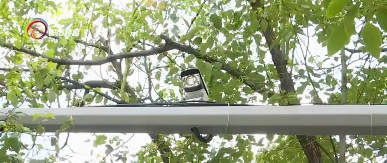 老司机才懂的停车技巧,自助停车如何缴费