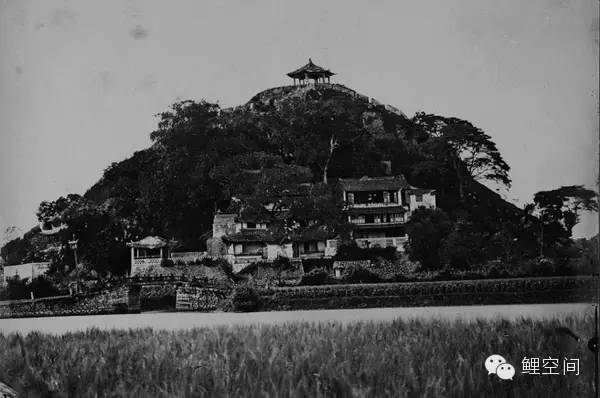 140年前的温州原来长这样！家乡的前世今生.