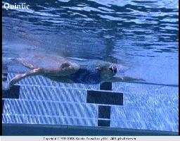 梦觉自由泳打腿入门,自由泳好看泳姿