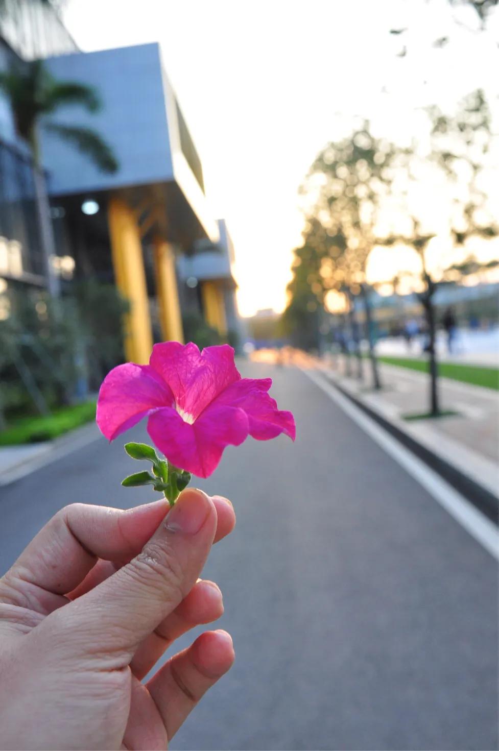 缇庣殑鍏ㄧ悆鍒涙柊涓績涓婄彮鏃堕棿,缇庣殑鍏ㄧ悆鍒涙柊涓績