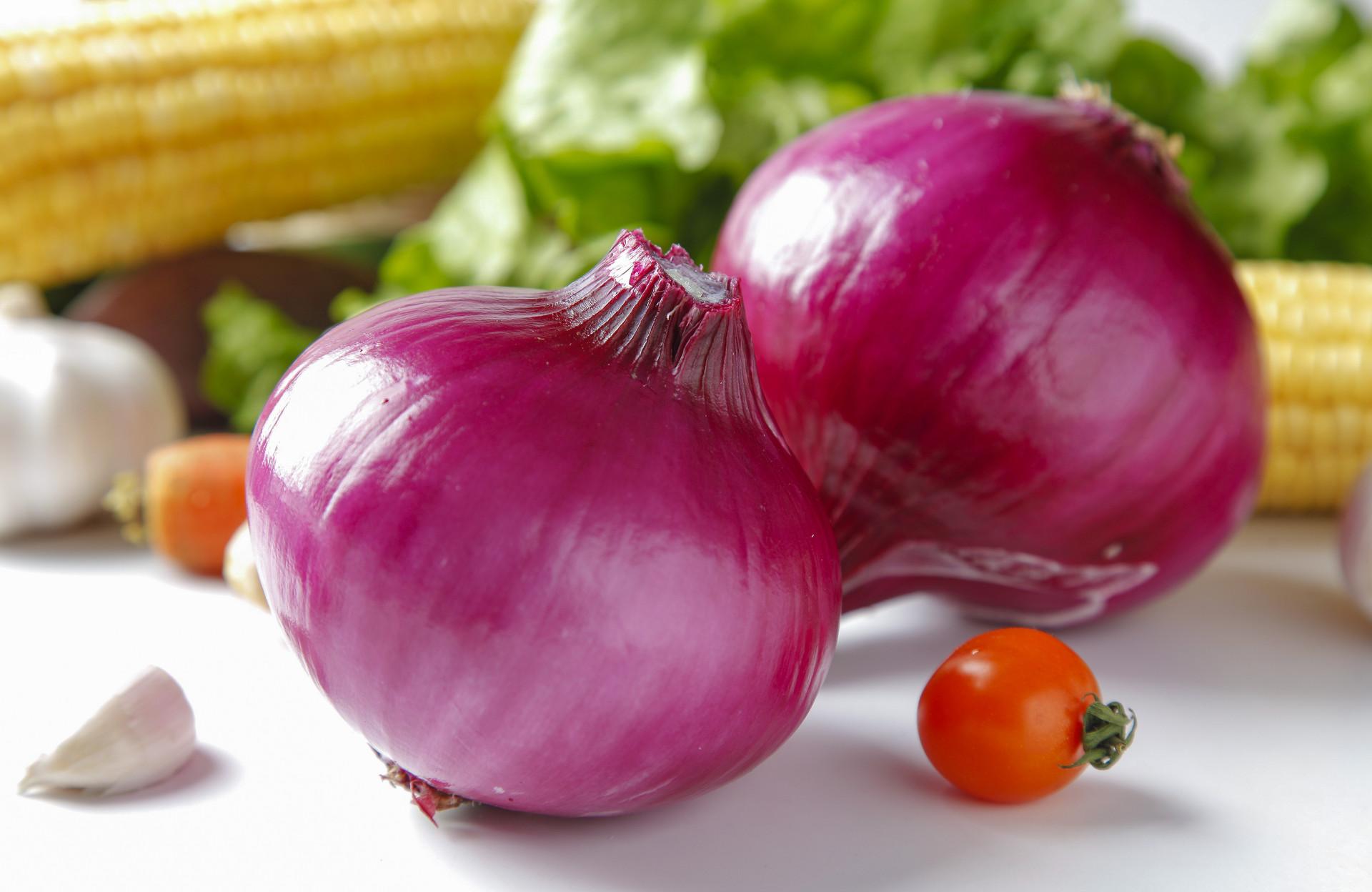 不能给狗狗吃的四种食物,这10种食物不要给孩子吃